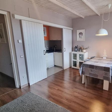 Apartment Sant Francesc Olot Εξωτερικό φωτογραφία