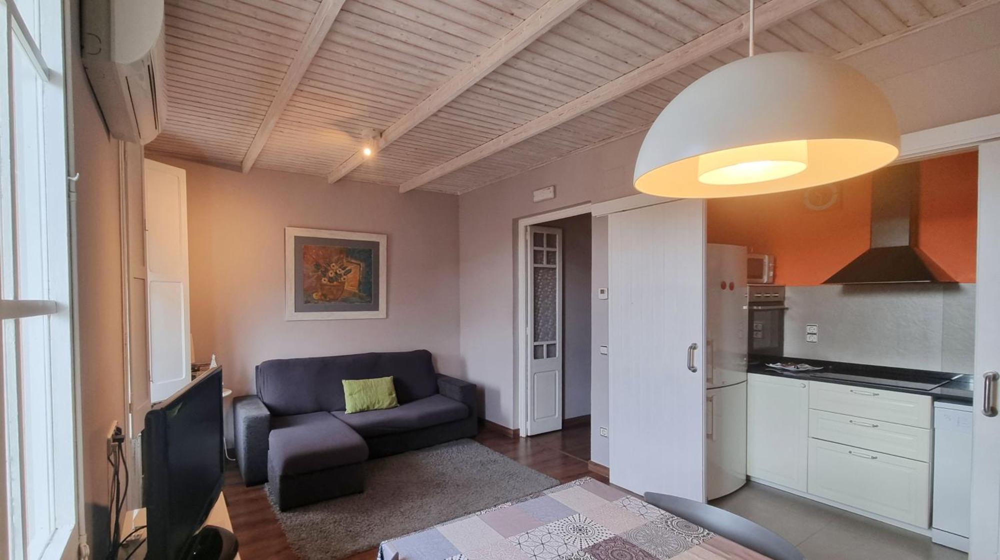 Apartment Sant Francesc Olot Εξωτερικό φωτογραφία