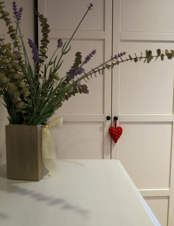 Apartment Sant Francesc Olot Εξωτερικό φωτογραφία